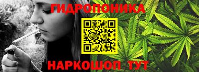 спиды Ливны