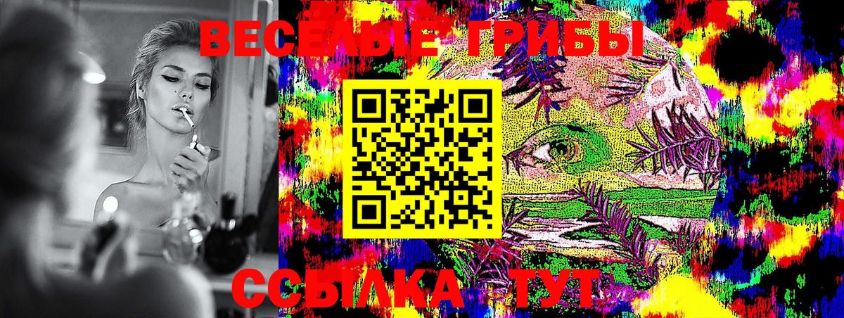 Галлюциногенные грибы Magic Shrooms  купить наркоту  Галлюциногенные грибы Psilocybine cubensis  Каменка  Вход с VPN 